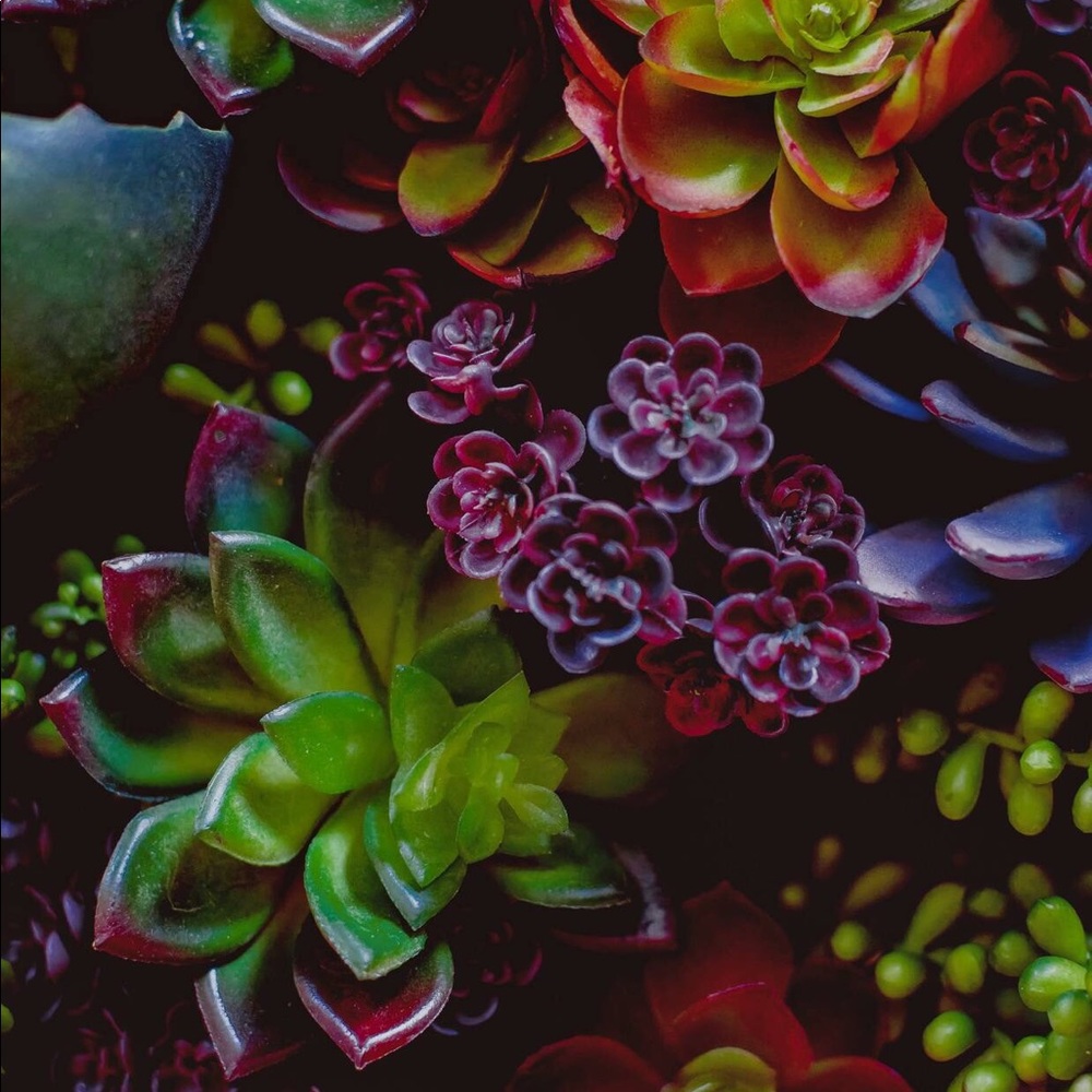 Meet your Posher, Virginia